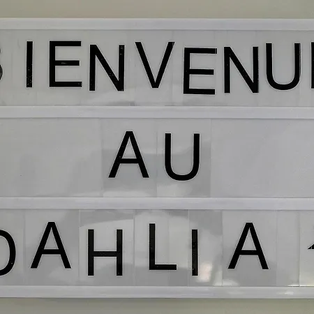 Apartment Dahlia - 200m Plage - 4min Palais - Verrière Côte D’azur *